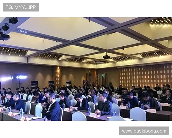 广州排球队的转型之路：从传统强队到现代化竞技新风向