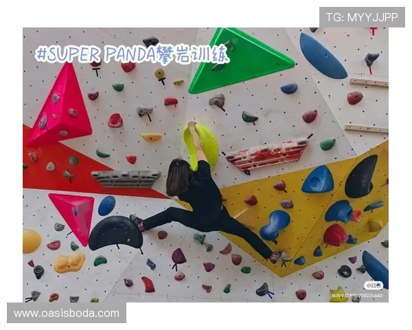 成都攀岩队战术表现数据分析揭示训练与比赛的关键因素