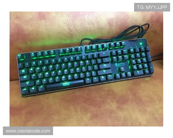 提升游戏体验的机械键盘推荐助你在英雄联盟中称霸全场